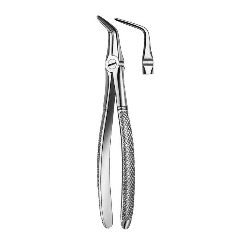 Forceps Para Resto Radicular - BRAINCP