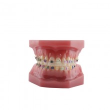 Molde silicona para modelo desdentado BADER®️ DENTAL - Bader®️ Dental