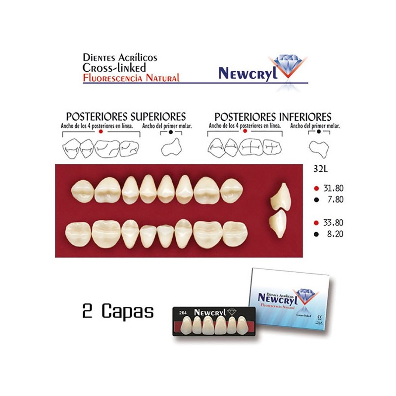 Dientes Acrílicos Newcryl Superiores Color A3 de New Stetic