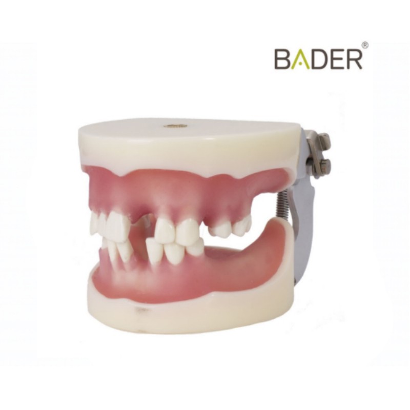 Molde silicona para modelo desdentado BADER®️ DENTAL - Bader